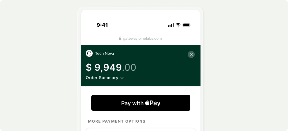 Apple Pay enabled checkout for international payments